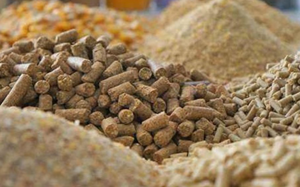 發酵飼料烘干機優勢